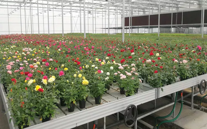 CONSERVATORIUM System: Revolutionizing Rustica cum Sustainable Solutions