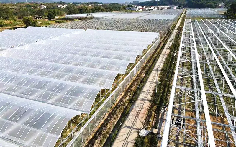Explorarent Ridge - Ventilandam plastic CONSERVATORIUM ad augendam productio et solvere quaestionem de summus temperatus