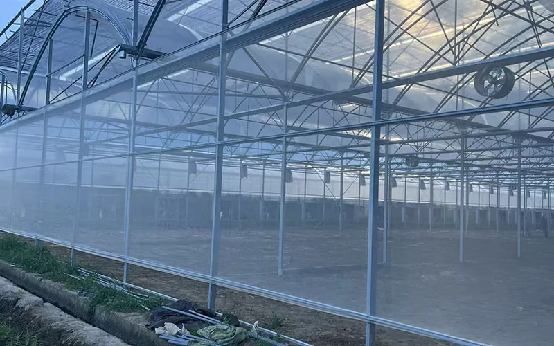 Insecta Net Greenhouse Leads novum trend in pestis imperium