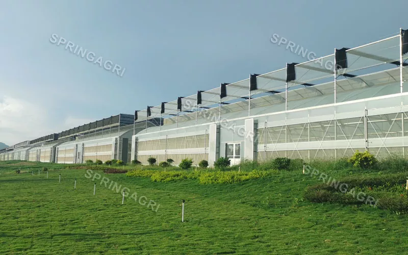 Magna Scala cum Maximo Sumptus Multispan Plastic Vegetabili CONSERVATORIUM