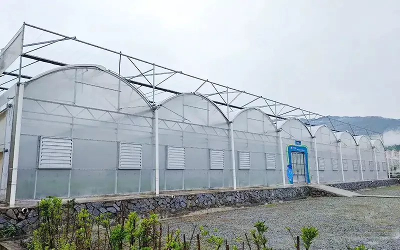 Multispan Plastic film CONSERVATORIUM