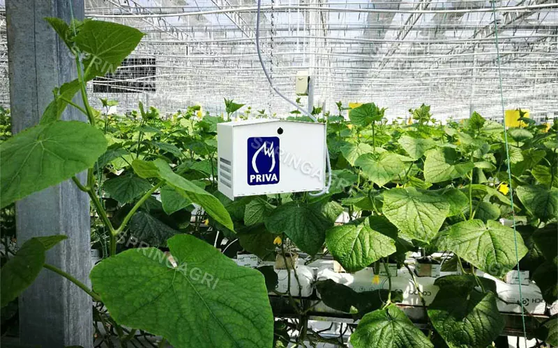 Smart Agriculture customized CONSERVATORIUM SOLUTIO